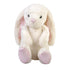 Stuffed Bunny Rabbit with Floppy Ears